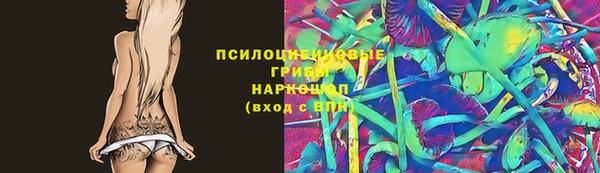 ECSTASY Белая Холуница